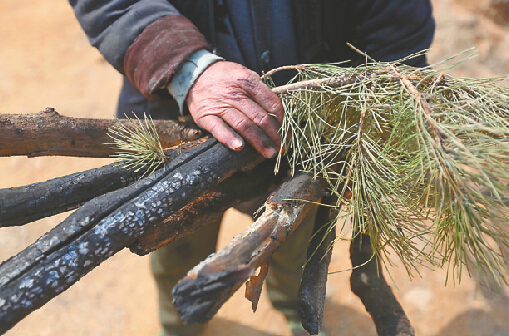 濟南西營梯子山山火肆虐20余小時 疑村婦燒荒引發(fā)