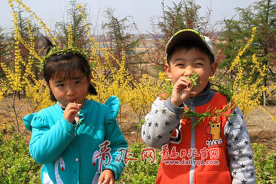 即墨移風:舊俗新風并行清明的鄉(xiāng)村在改變 即墨移風:舊俗新風并行清明的鄉(xiāng)村在改變