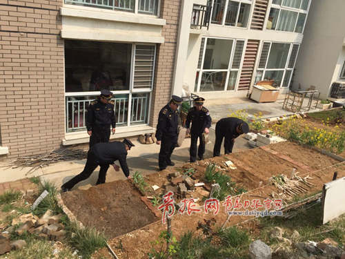 李滄城管全區(qū)范圍內(nèi)集中整治“小區(qū)菜園”