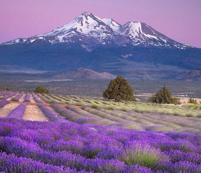 去法國(guó)吧：世界那么大 我想去呼吸最浪漫的空氣