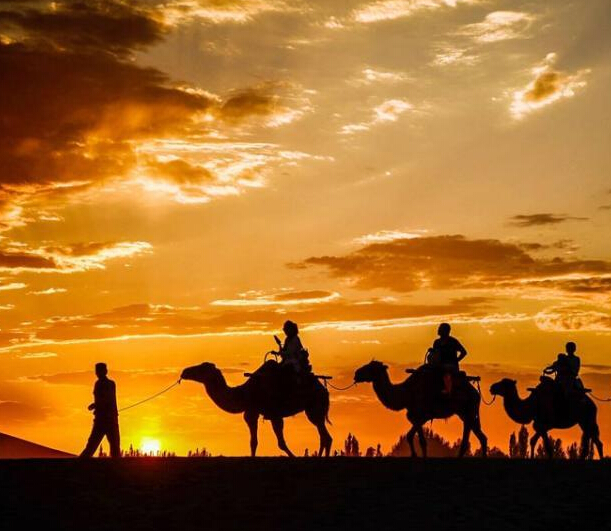 敦煌出現(xiàn)火燒云 晚霞駝影相映成趣