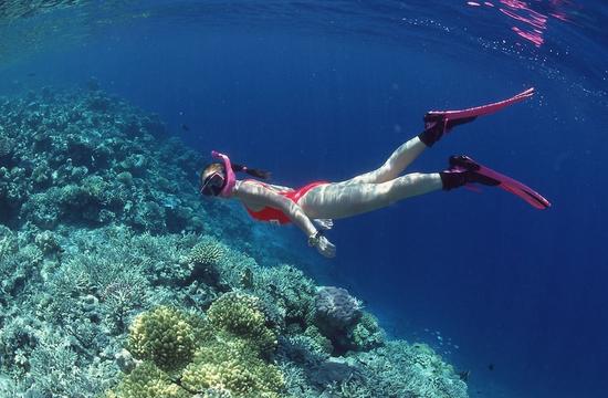 潛水正當(dāng)時