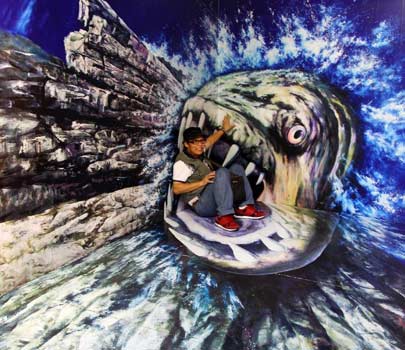 韓國(guó)3D錯(cuò)視藝術(shù)引游人