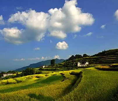 國慶自駕婺源：追逐深秋絢爛的色彩