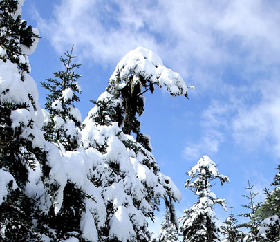 螺髻山景區(qū)迎第一場(chǎng)大雪：宛如仙境