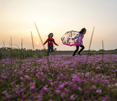 秋韻鄱湖 醉美花海