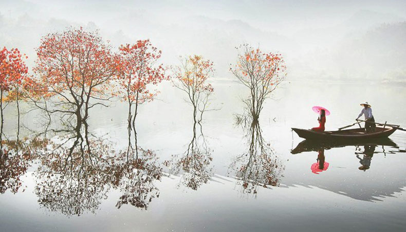 一葉落知天下秋 今又秋紅染青楓