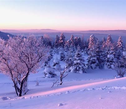 延邊霧凇美如畫(組圖)