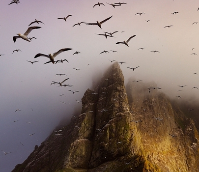 海鳥(niǎo)翱翔在博雷島上空。攝影：JIM RICHARDSON, NATIONAL GEOGRAPHIC CREATIVE