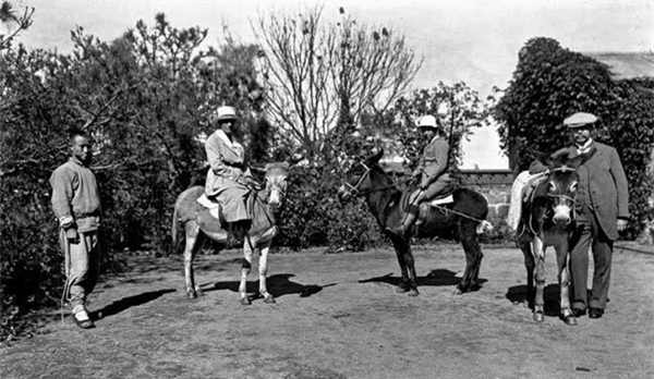 20世紀(jì)初的青島老照片：毛驢是主要交通工具