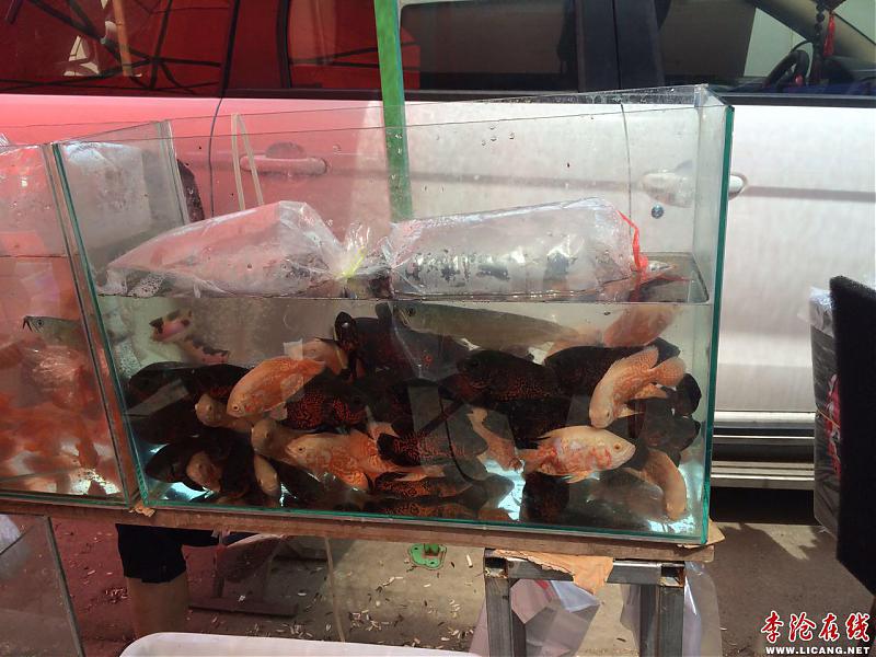 381272717387453035.jpg - 文件大小145.4KB (點擊縮略圖放大查看)