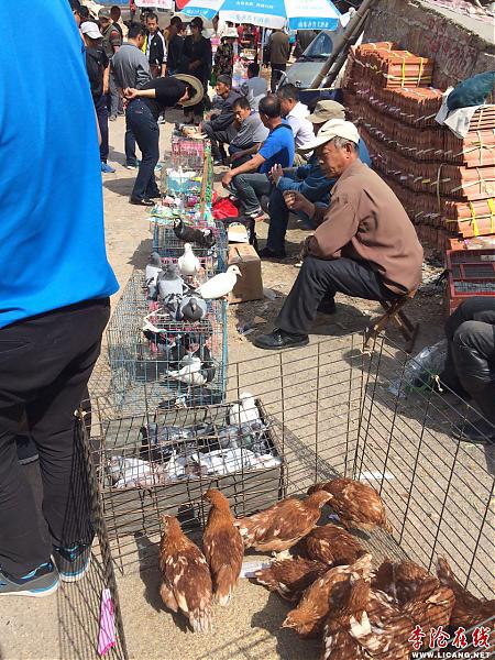 506073808155207804.jpg - 文件大小276.0KB (點擊縮略圖放大查看)