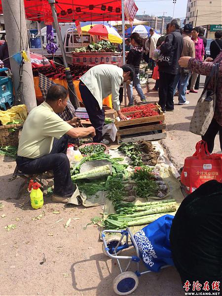 728560139876740659.jpg - 文件大小251.3KB (點擊縮略圖放大查看)