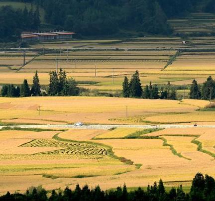 云南隴川秋意濃