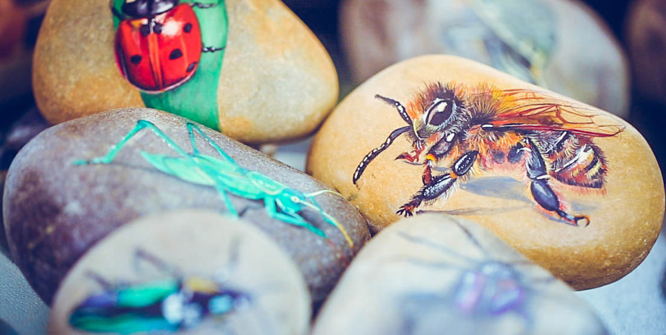 她的石頭會說話——85后青島辣媽妙筆生花