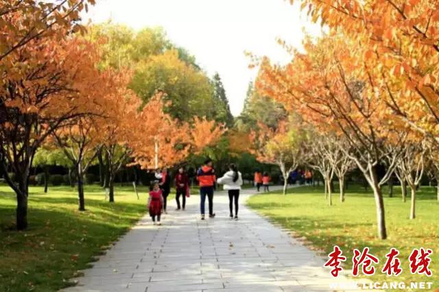 2.webp.jpg - 文件大小57.2KB, 點(diǎn)擊數(shù)量: 1 (點(diǎn)擊縮略圖放大查看)