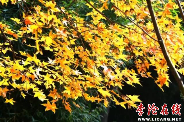 3.webp.jpg - 文件大小77.5KB, 點(diǎn)擊數(shù)量: 1 (點(diǎn)擊縮略圖放大查看)