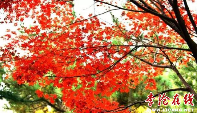 4.webp.jpg - 文件大小69.6KB, 點(diǎn)擊數(shù)量: 1 (點(diǎn)擊縮略圖放大查看)