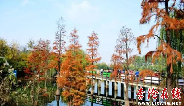 5.webp.jpg - 文件大小48.6KB, 點(diǎn)擊數(shù)量: 1 (點(diǎn)擊縮略圖放大查看)