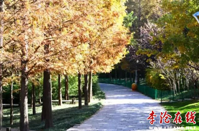 6.jpg - 文件大小68.2KB, 點(diǎn)擊數(shù)量: 0 (點(diǎn)擊縮略圖放大查看)