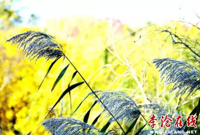 8.jpg - 文件大小46.6KB, 點(diǎn)擊數(shù)量: 1 (點(diǎn)擊縮略圖放大查看)