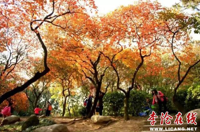 1.webp.jpg - 文件大小75.3KB, 點(diǎn)擊數(shù)量: 1 (點(diǎn)擊縮略圖放大查看)