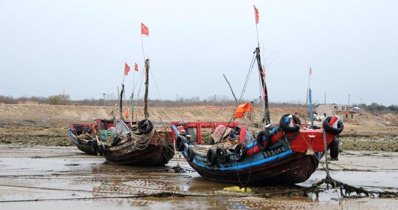 別樣的景致！青島遇天文大潮漁船擱淺成“旱船”