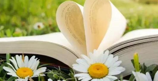 教育是場單戀,不是付出越多結果越好