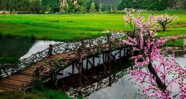 《三生三世》取景地，普者黑馬上就要火了