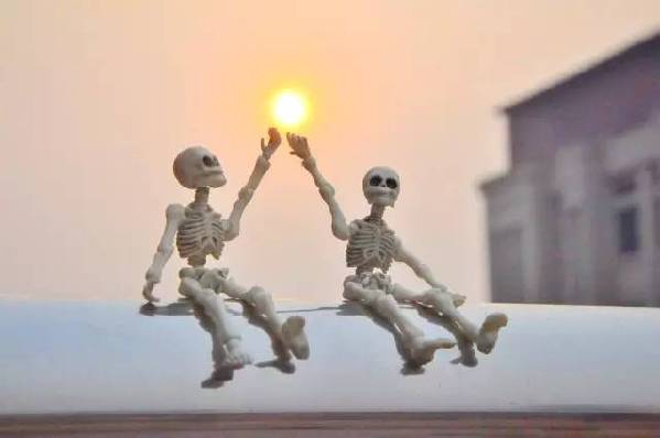 小骷髏當“校園導游” 醫(yī)學生日常原來是這樣