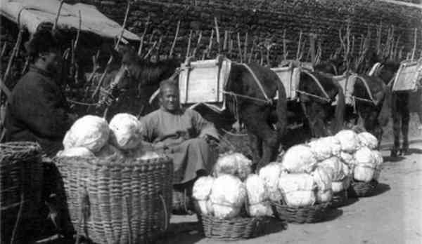 老照片：民國青島時期民生影像