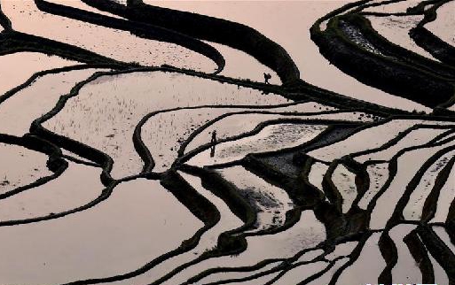 農(nóng)耕文明奇觀：氣勢(shì)恢宏云南哈尼梯田