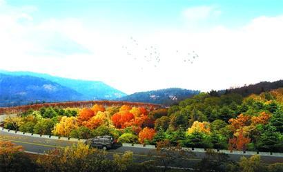 花園,李滄,老企業(yè),搬遷