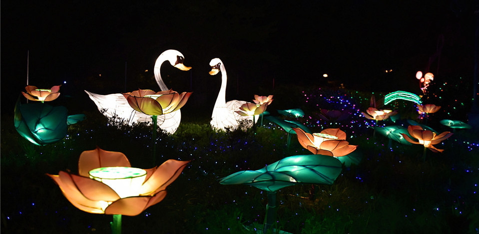 消夏納涼好去處！中山公園花燈盛宴璀璨綻放