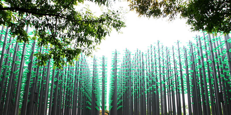 30000啤酒瓶組成“啤酒叢林” 成西海岸新“網(wǎng)紅”