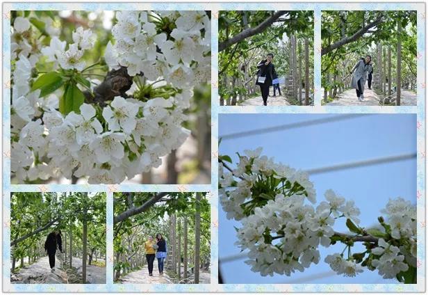 新時代文明實踐 遇見最美的你