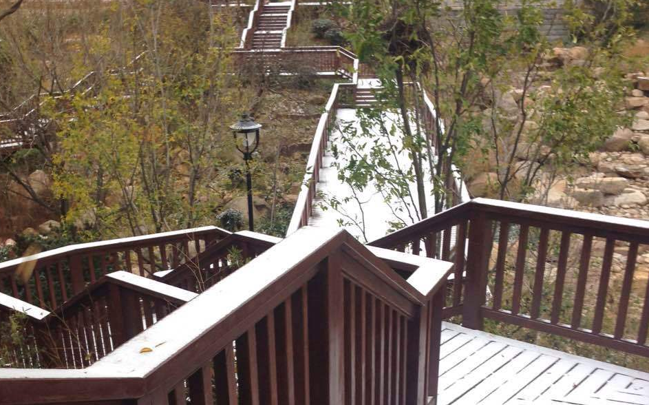 終于等到你！青島迎來今冬初雪