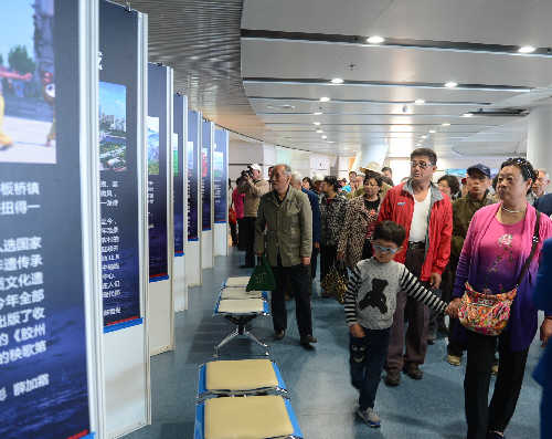 “美麗青島”大型圖文展昨開展