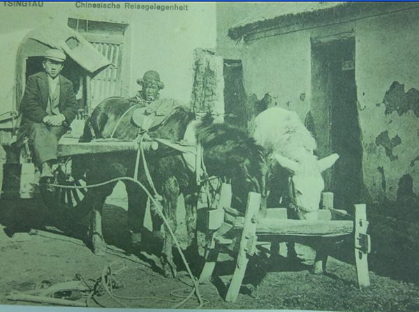 青島農(nóng)村早期出行工具：騎驢走親戚的娘倆（圖）
