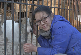 80后美女自掏百萬救助流浪狗