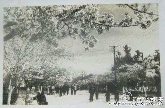 20世纪50年代青岛老照片