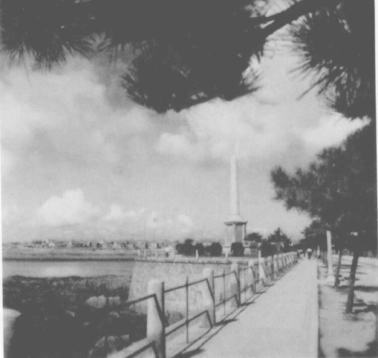 1495522703443033176.jpg 4.jpg