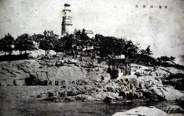 1495522783102036706.jpg 10.jpg