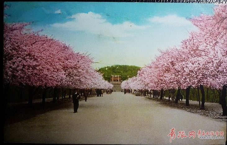 1555311643833005482.jpg ce70940b-94bd-4586-9b14-83ccc948179c_900x675.jpg