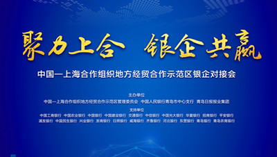 聚力上合 銀企共贏！中國—上海合作組織地方經貿合作示范區銀企對接會為企業“出?！辟x能