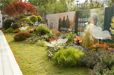 泰康之家·海琴府開放參觀，樹立青島城心醫(yī)養(yǎng)融合新標(biāo)桿