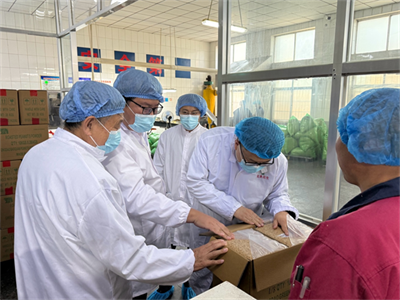 萊西花生制品產(chǎn)業(yè)“最強(qiáng)大腦”申報(bào)成功