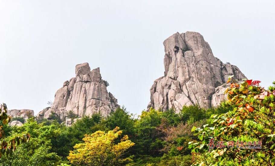 寒露過后，秋意更濃，十月巨峰，少了些霧靄，多了些明朗。登臨頂峰，放目遠(yuǎn)眺，但見群峰挺拔、遠(yuǎn)處山海一色，萬頃秋波瀑瀉千里。在青島，賞景當(dāng)數(shù)巨峰游覽區(qū)，登上嶗山最高峰巨峰，駐足遠(yuǎn)望，波光瀲滟，宛若置身于紅橙黃綠紫構(gòu)成的五彩畫卷中，盡情享受著大自然賜予的美麗，當(dāng)下的嶗山巨峰游覽區(qū)氣候宜人，正是登山休閑養(yǎng)生的好時(shí)節(jié)。攝影 紀(jì)春章  通訊員 祁于佩