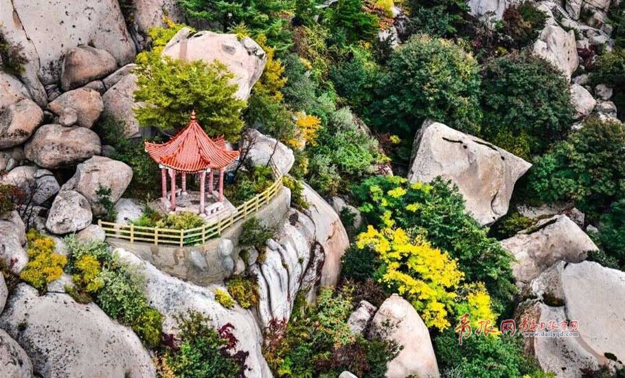 寒露過后，秋意更濃，十月巨峰，少了些霧靄，多了些明朗。登臨頂峰，放目遠(yuǎn)眺，但見群峰挺拔、遠(yuǎn)處山海一色，萬頃秋波瀑瀉千里。在青島，賞景當(dāng)數(shù)巨峰游覽區(qū)，登上嶗山最高峰巨峰，駐足遠(yuǎn)望，波光瀲滟，宛若置身于紅橙黃綠紫構(gòu)成的五彩畫卷中，盡情享受著大自然賜予的美麗，當(dāng)下的嶗山巨峰游覽區(qū)氣候宜人，正是登山休閑養(yǎng)生的好時(shí)節(jié)。攝影 紀(jì)春章  通訊員 祁于佩