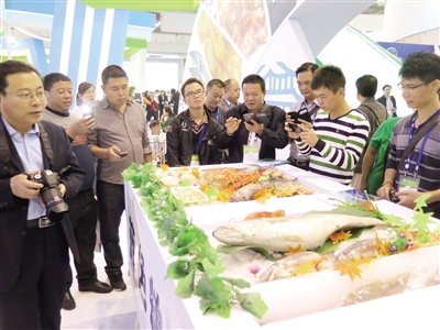 農(nóng)博會(huì)青島展區(qū)人氣旺